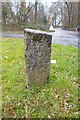 Old Boundary Marker by St Marychurch Road, Newton Abbot