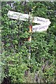 Old Direction Sign - Signpost by High Leases Lane, Waitby parish