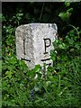 Old Milestone near Glasserton Manse