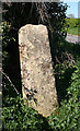 Old Milestone by Camp Road, Odcombe parish