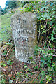 Old Milestone by Viney Hill, Lydbrook parish