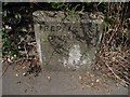 Old Boundary Marker by the A676, Ramsbottom Road, Bolton Parish