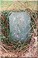 Old Milestone by the B4411, Gell Farm Corner, Llanystumdwy parish