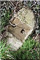 Old Milestone by Tything Farm, Allensmore parish