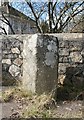 Old Boundary Marker by the A386, Half Bridge