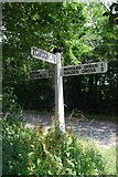 TQ5514 : Old Direction Sign - Signpost by Hale Green, Chiddingly parish by Milestone Society