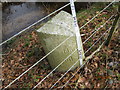 Old Milestone near Loch Arthur, New Abbey parish