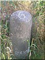 Old Milestone by the B9077, near Salmon Croft, Maryculter parish