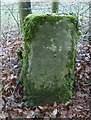 Old Milestone west of Tunley Farm