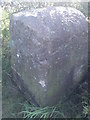 Old Guide Stone by Hillings Lane, Hawksworth parish