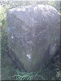 SE1542 : Old Guide Stone by Hillings Lane, Hawksworth parish by Milestone Society
