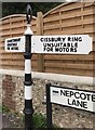 Old Direction Sign - Signpost by Nepcote Lane, Findon parish