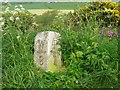 Old Milestone by the B7085, Landberrick, Mochrum parish