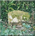 ST4308 : Old Milestone  B3165, Clapton Road, Crewkerne by JR Dowding