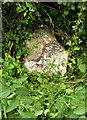 Old Milestone by the A39, New Road, Cannington parish