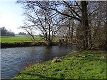 SO3858 : River Arrow, Pembridge by Richard Webb