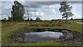 SU3407 : Pond on Matley Heath near King's Passage by Phil Champion