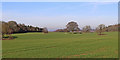 Shropshire farmland south-west of Pattingham