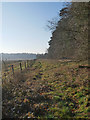 TL8296 : Track along STANTA boundary in Southerly ditection by David Pashley