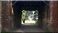 SU3407 : Path under the railway line at Matley Heath, New Forest by Phil Champion