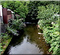 Downstream along the Ogwr Fawr, Ogmore Vale