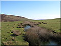 Tiny beck from Helwith Road