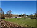 Bridge over Afon Gallen