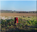 Bird feeder in a field