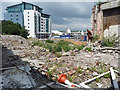 Derelict land, Athenaeum Lane, Plymouth