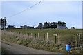 Looking up to Pitgaveny farm