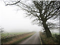 Lane near New Tredegar