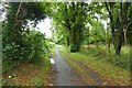 Cycle track to Porthmadog