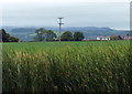 Farmland at Ford Green