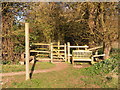 Footpath south east of Sproatley Church