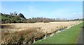 View NNW across wetland to Canal Wood