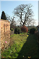 Garden in Shrewsbury Park