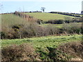 Drumlin land on the east side of the Newry Canal