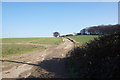 Track leading to Brierley Lodge, Grimethorpe