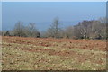 Misty view on Burrington Ham