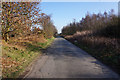 Howell Lane towards Howell wood