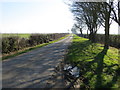 A hedge and tree-lined Hungram Lane near to Hungram House