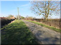 A hedge-lined Lodge Lane approaching the A158 near to Lodge Farm