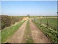 Track  to  fishing  ponds