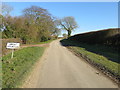 A hedge-lined lane entering Great Stourton near to Beech House Farm