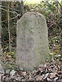 Old Milestone by the B1115, Waldingfield Road, Chilton