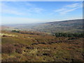 Danby Dale view