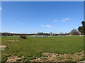 The Nest, Norwich City (Canaries) training ground