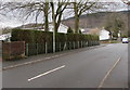 Hedge-lined part of Duffryn Road, Pentrebach