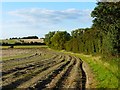 Farmland, Cuxham