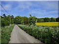 Road and farmland, Lower Upham, Aldbourne